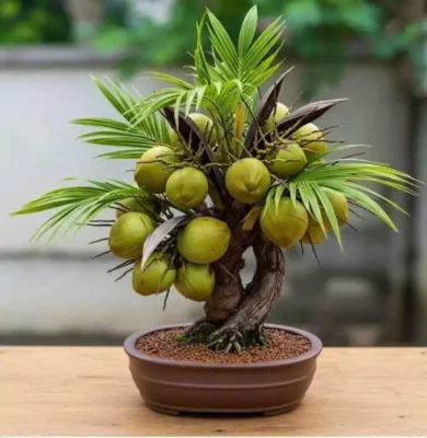 Bất Động Sản | Bất Động Sản Cần Thơ