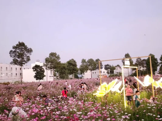 Bất Động Sản | Bất Động Sản Cần Thơ