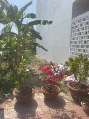 Bất Động Sản | Bất Động Sản Cần Thơ